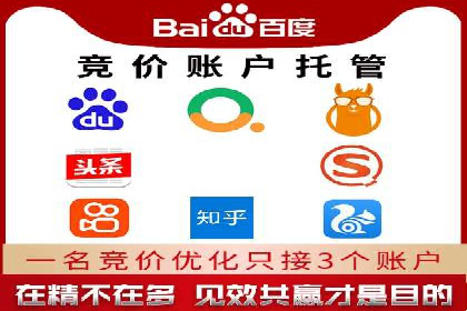 优化SEM广告投放：成功案例分享